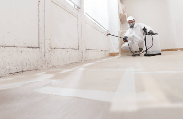 24/7 Emergency Mold Inspection experts in Carrolltown, PA
